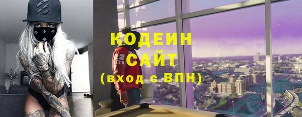 индика Балахна