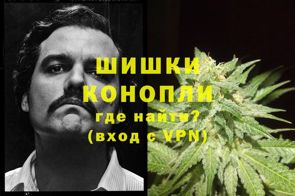 индика Балахна