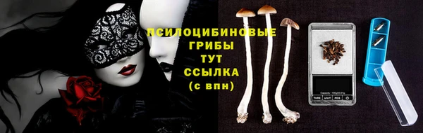 индика Балахна