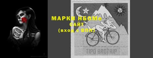 индика Балахна