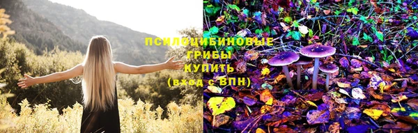 индика Балахна