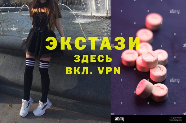 индика Балахна