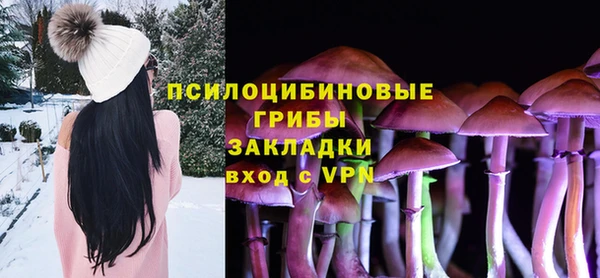 индика Балахна