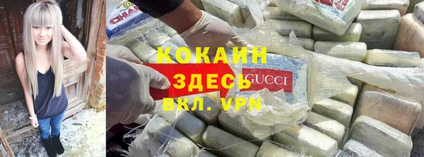 индика Балахна